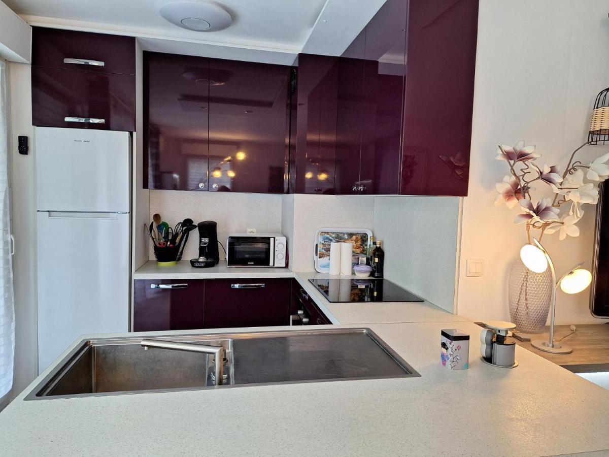 Charmant Appartement Residentiel Avec Terrasse, Jardin Privatif Et Piscine A Cannes 戛纳 外观 照片